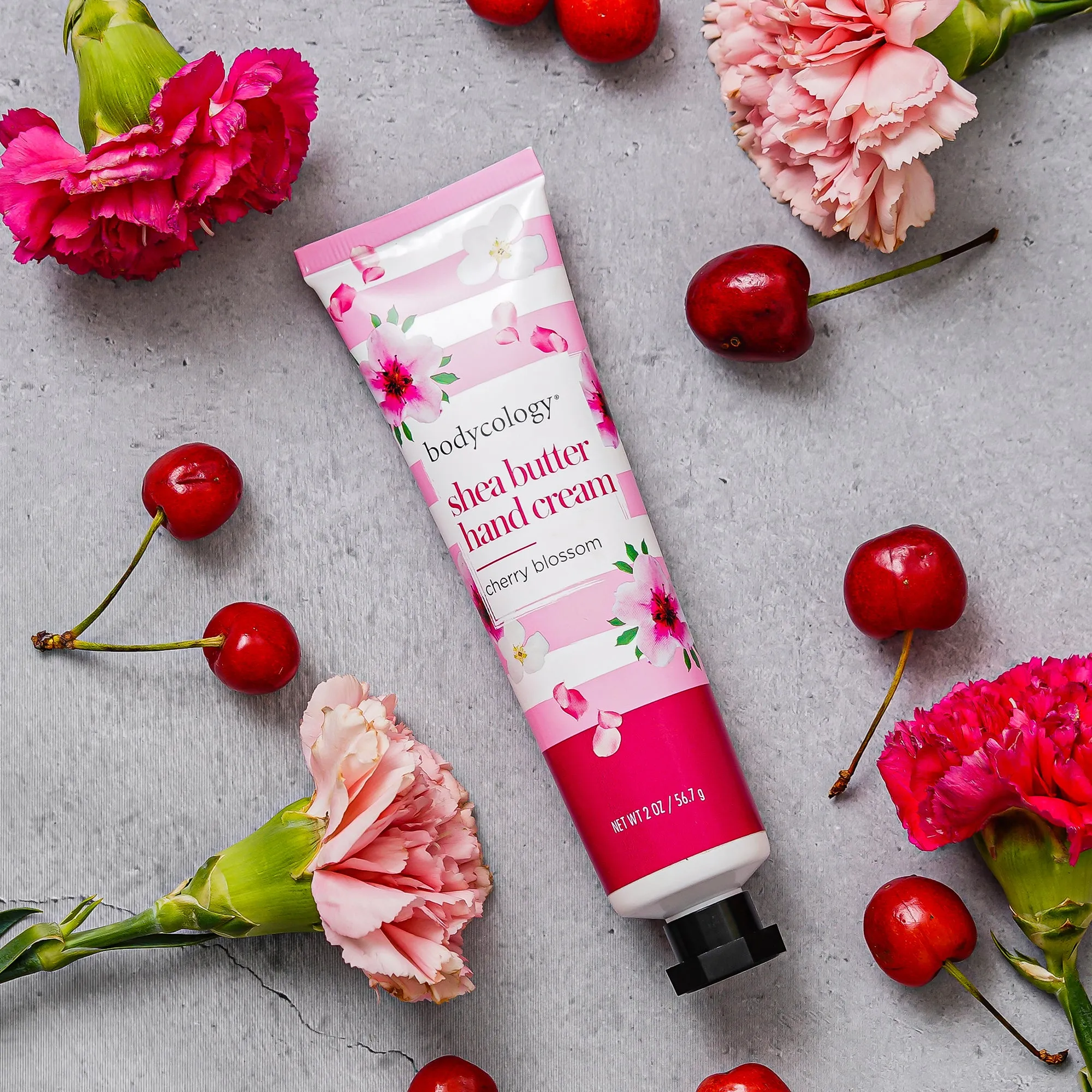 Bodycology Cherry Blossom Body Cream & Hand Cream | Moisturise, Soothing, Protects Skin Barrier |For Hydrated Body & Hand | Paraben & Phthalete Free, Cruelty Free - Combo of 2