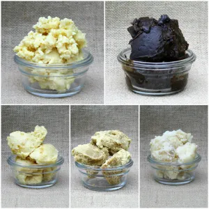 Five Forest Butters Sampler