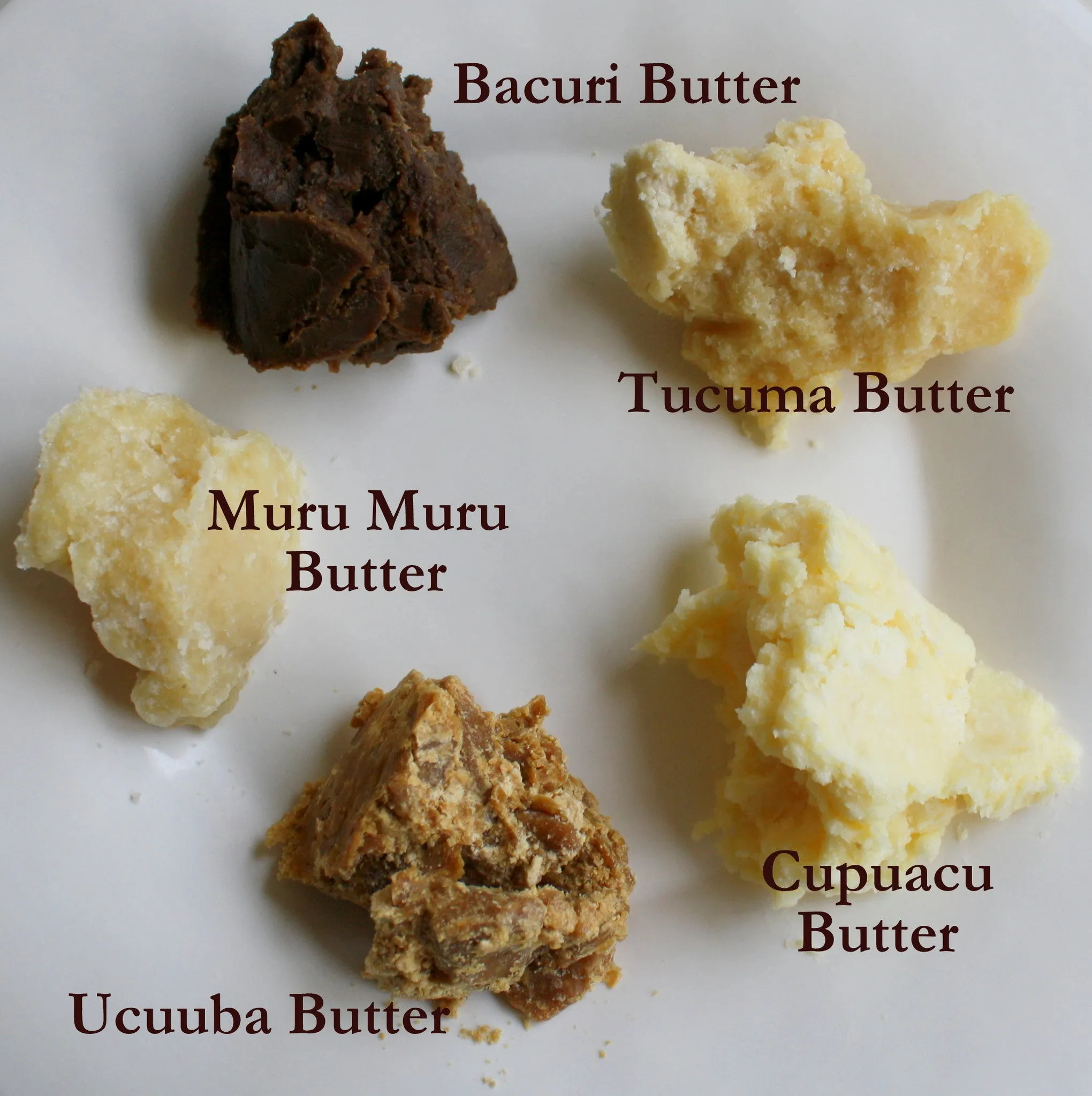 Five Forest Butters Sampler